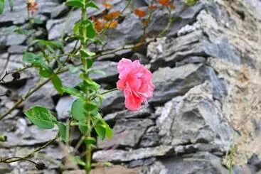 Bed and Breakfast Boato Bistrot & Bed