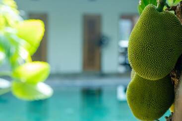 فندق Aryana Boutique