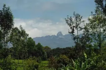 هاستل Mt. Kenya Riverside Retreat