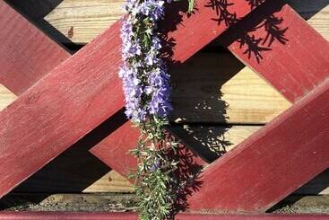 ペンション A L Aube Des Volcans