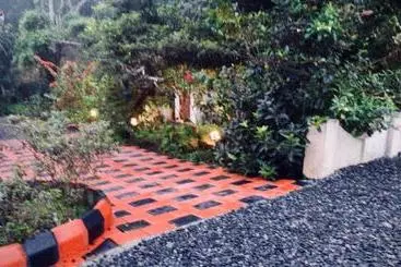 Bed and Breakfast Avalon Grove