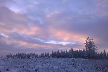 Waldpension Harzer Waldwinkel