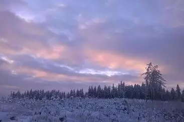 Waldpension Harzer Waldwinkel