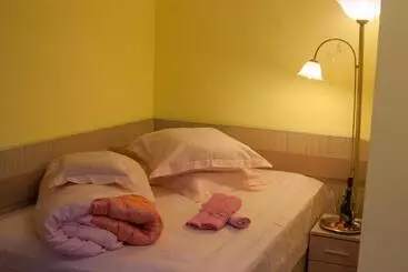 Pansiyon Vila Cu Flori