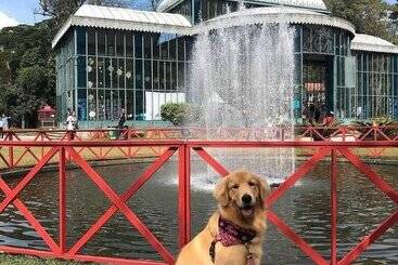 هاستل Pousada Dom Petropolis