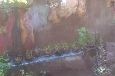 ペンション Cvnb Bed And Bath La Union