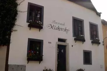 פנסיון Guest House Olšakovský