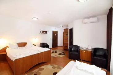 ペンション Casa Micu