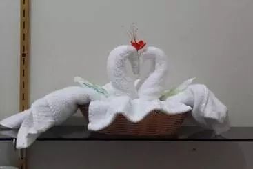 Alberg Rainforest Haven Inn