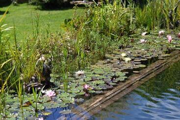 Panzió Penzion Kaplanka