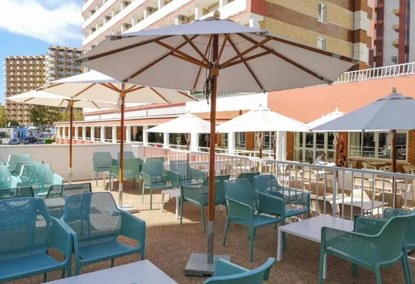 בית מלון כפרי Caballo De Oro