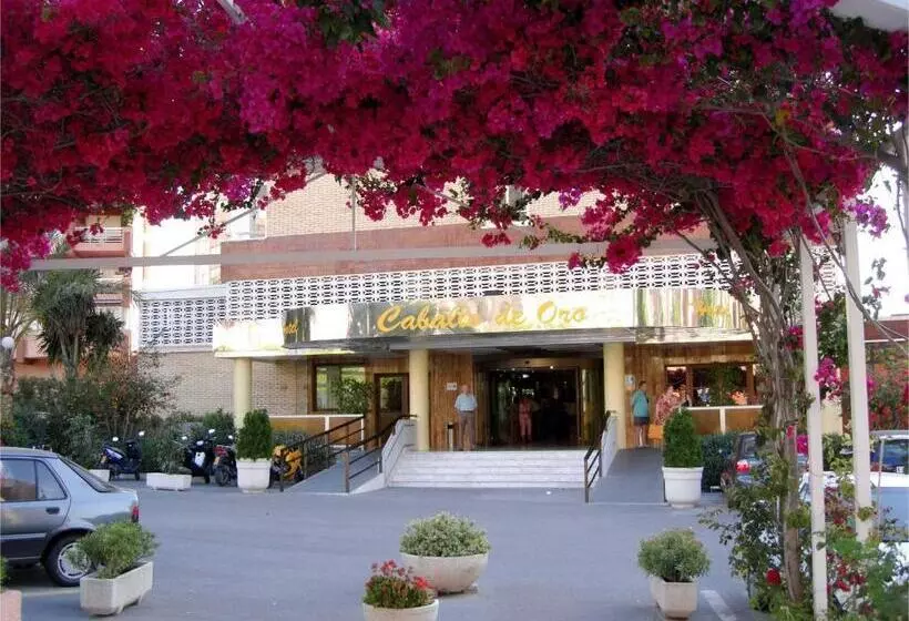 בית מלון כפרי Caballo De Oro