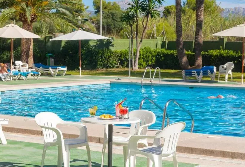 בית מלון כפרי Caballo De Oro