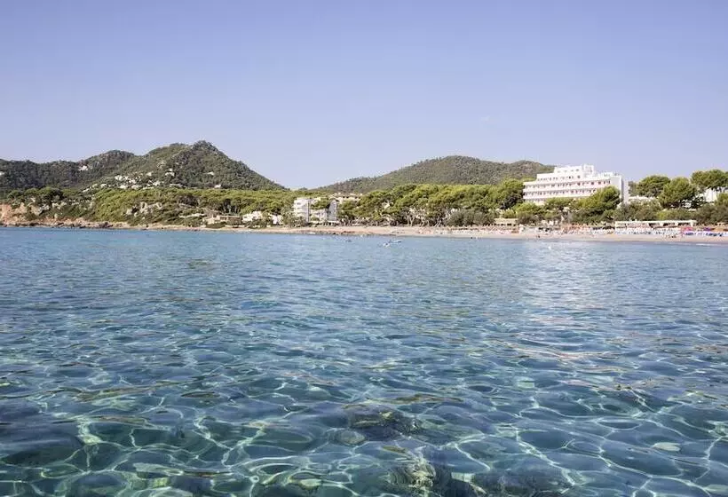 Canyamel Park Hotel & Spa   4 Sup   Adults Only