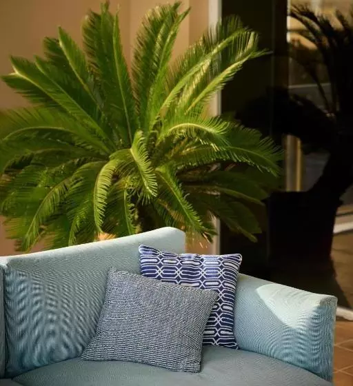 호텔 Catalonia Majorica