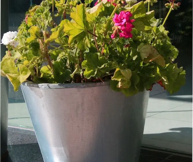 ホテル Gran Regente