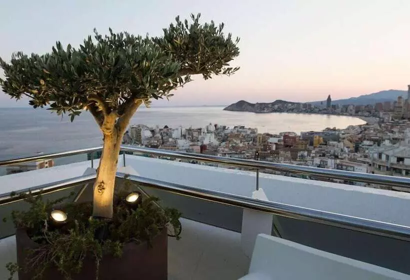 فندق Madeira Centro