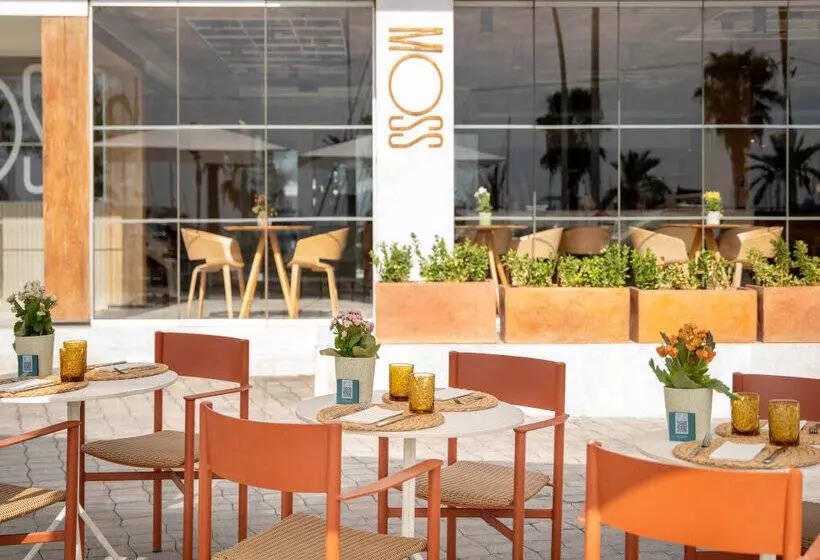 酒店 Melia Palma Marina