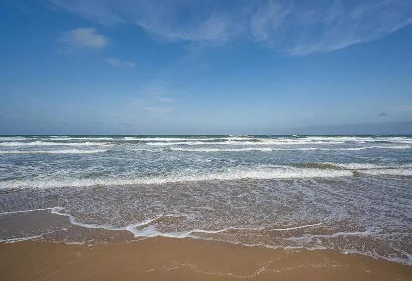 ホテル Playas De Guardamar