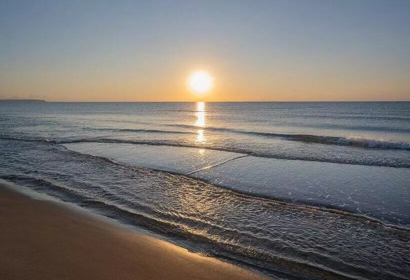 ホテル Playas De Guardamar