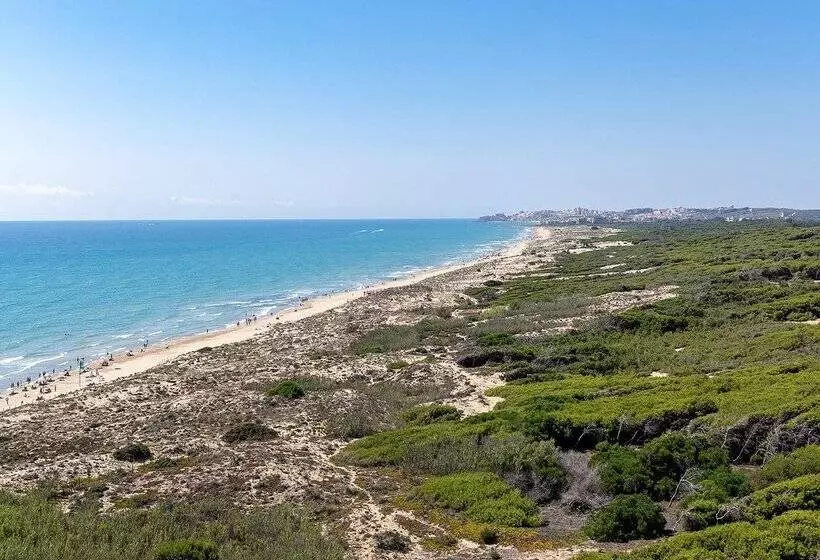 ホテル Playas De Guardamar