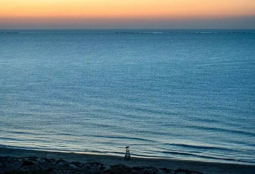 ホテル Playas De Guardamar