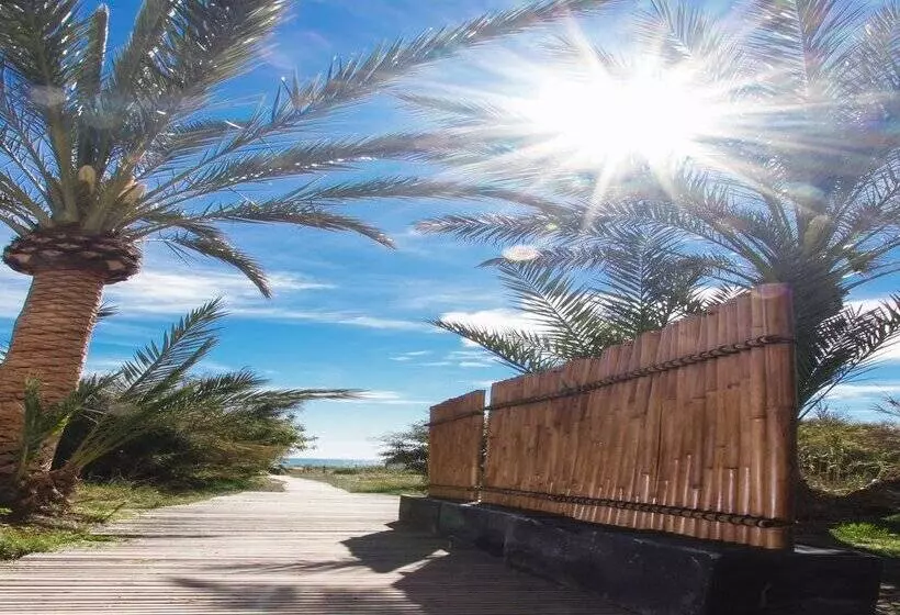 ホテル Playas De Guardamar