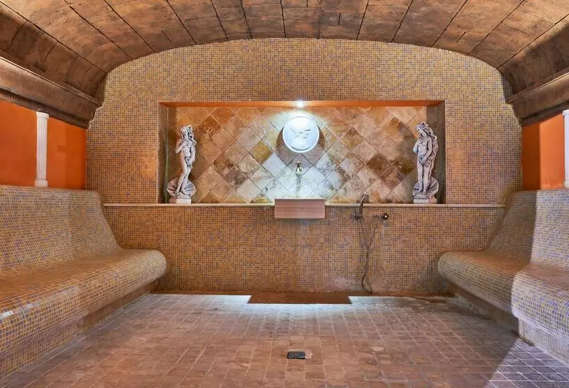 호텔 & Spa S'entrador Playa