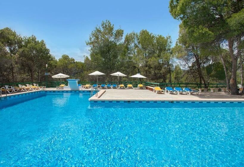 Отель Balneario De Cofrentes