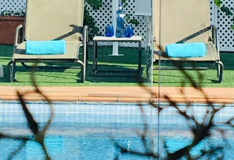 Best Western Hotel Mediterraneo