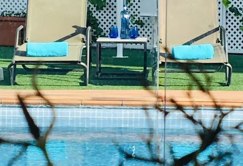 Best Western Hotel Mediterraneo