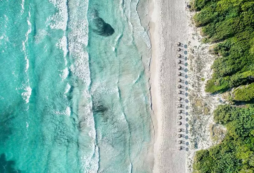 Hotel Iberostar Selection Albufera Playa