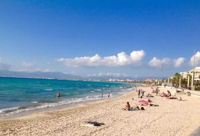 فندق Iris Only Adults