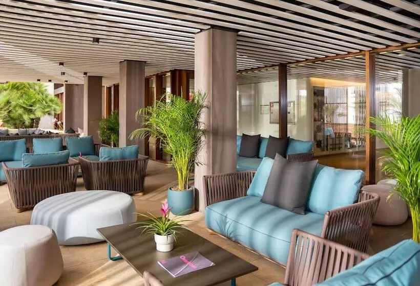 בית מלון כפרי Ocean Drive Talamanca