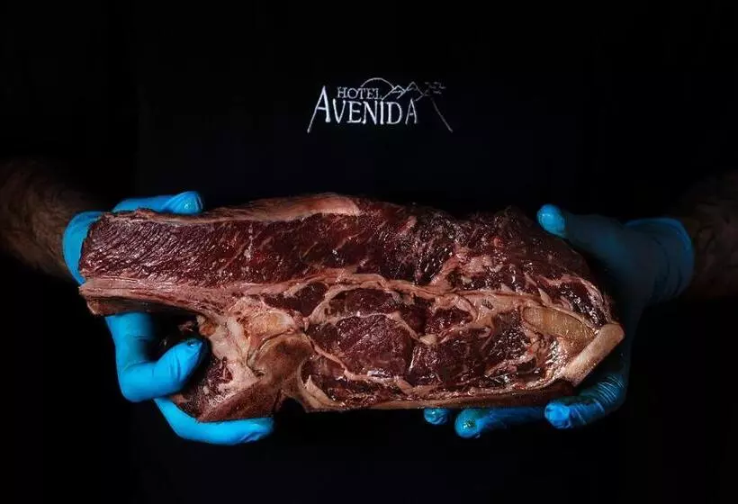 فندق Avenida Benasque