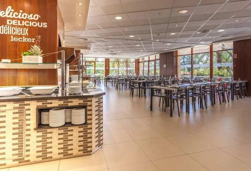 Otel Intelier Orange