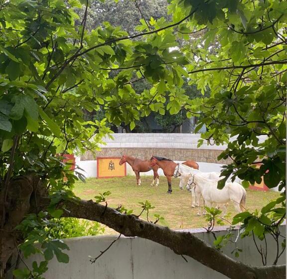 Hotel Meson De Sancho