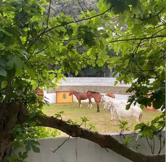 Hotel Meson De Sancho