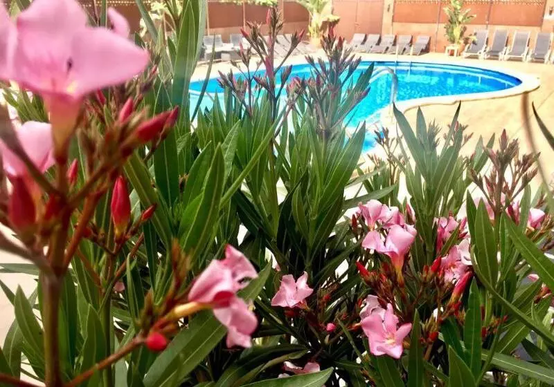 ホテル Stella Maris