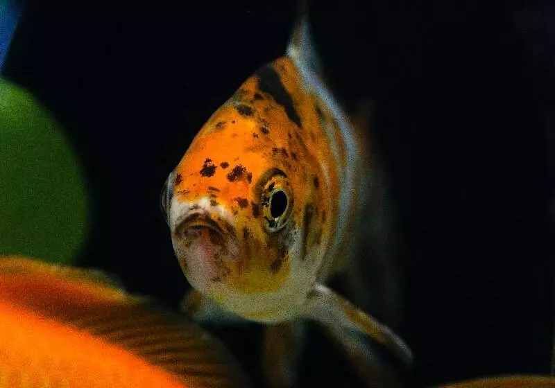 Agua De Mar Hotel Boutique