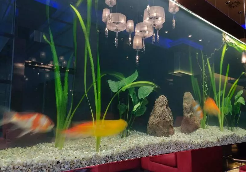 Agua De Mar Hotel Boutique