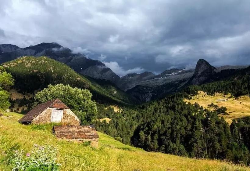 Отель Boutique Mediodía & Apartments