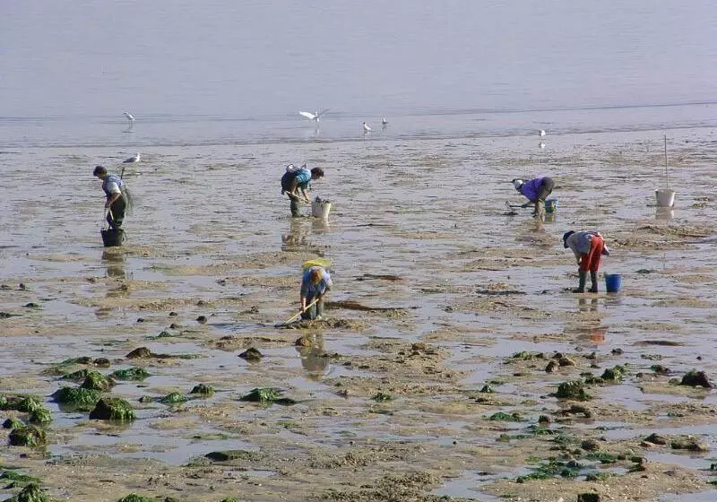 酒店 Puente De La Toja