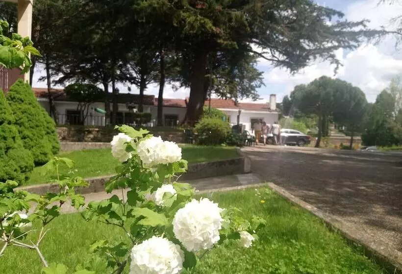 Отель Balneario De Ledesma