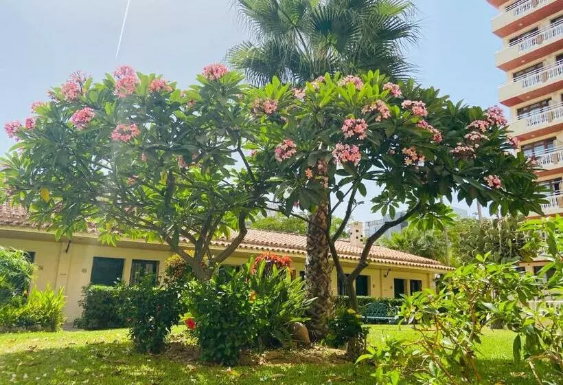 בית מלון כפרי Los Jazmines