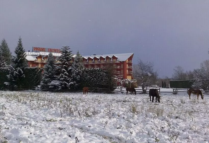 호텔 Puigcerda Park