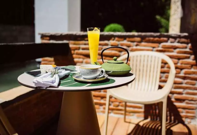 Hotel Cuevas - Adults Only