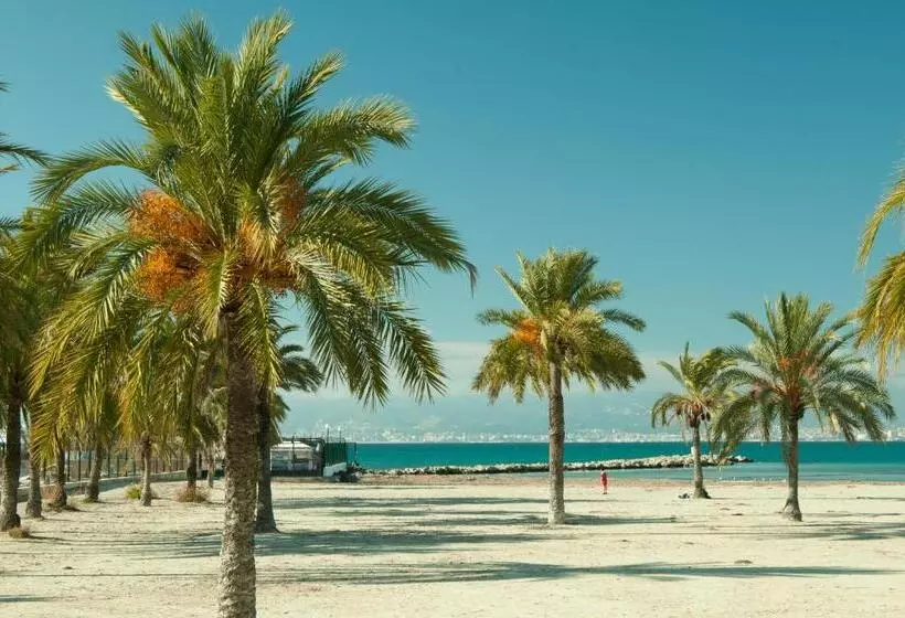 ホテル Hostal Atlanta