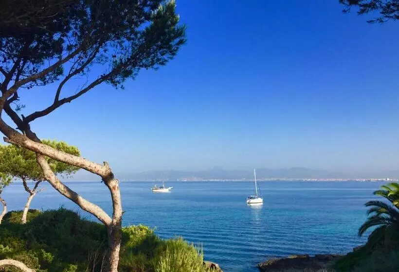 ホテル Hostal Atlanta