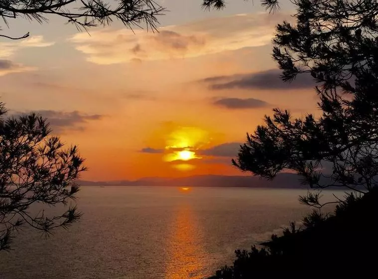 ホテル Hostal Atlanta